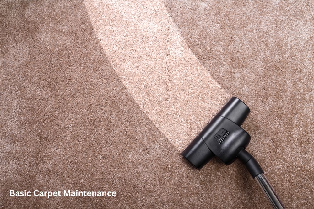 Carpet floor cleaning | Green's Floors & More